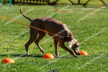 IMG_0397.jpg