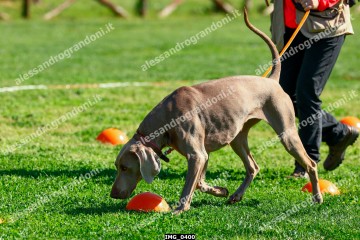IMG_0400.jpg