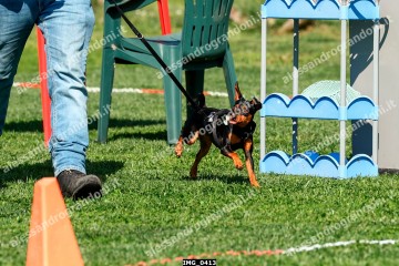 IMG_0413.jpg