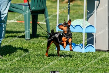 IMG_0416.jpg