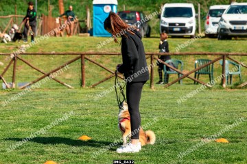 IMG_0432.jpg