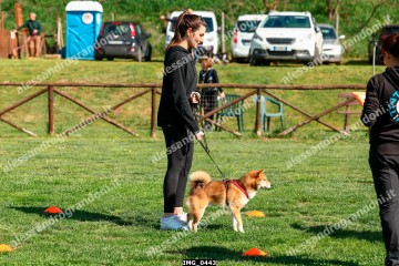 IMG_0443.jpg