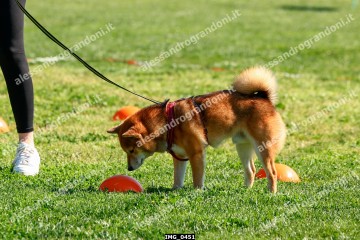 IMG_0451.jpg