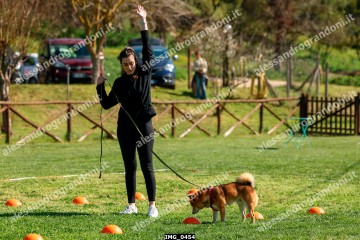 IMG_0454.jpg