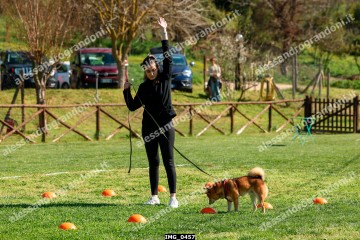 IMG_0457.jpg