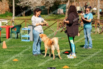 IMG_0474.jpg