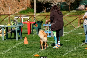 IMG_0477.jpg