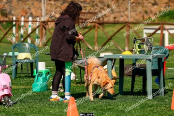 IMG_0484.jpg