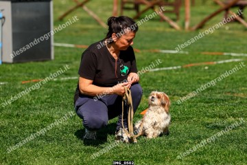 IMG_0502.jpg