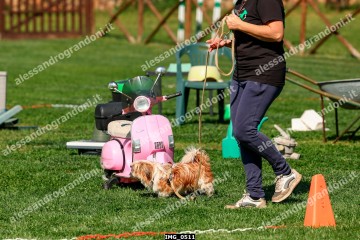 IMG_0511.jpg