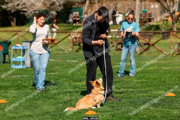 IMG_0529.jpg