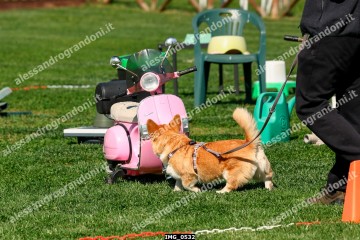 IMG_0532.jpg