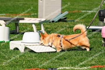 IMG_0534.jpg