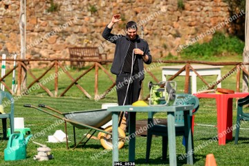 IMG_0538.jpg