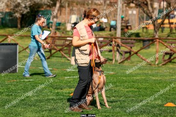 IMG_0544.jpg