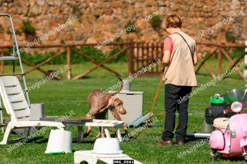 IMG_0561.jpg