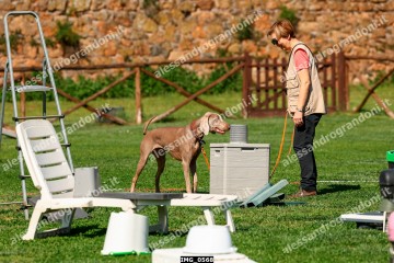 IMG_0568.jpg