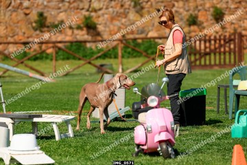 IMG_0571.jpg