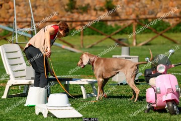 IMG_0575.jpg