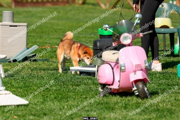 IMG_0587.jpg