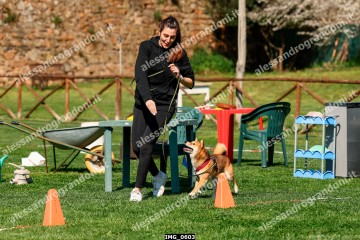 IMG_0603.jpg