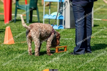 IMG_0658.jpg