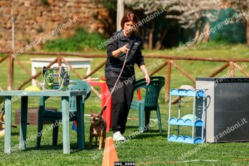 IMG_0699.jpg