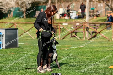 IMG_0720.jpg