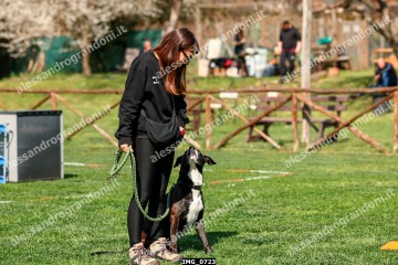 IMG_0723.jpg