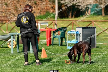 IMG_0731.jpg