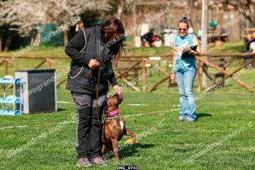 IMG_0743.jpg