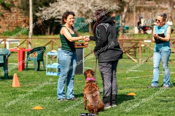 IMG_0750.jpg