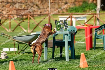 IMG_0761.jpg