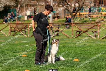 IMG_0773.jpg