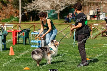IMG_0774.jpg