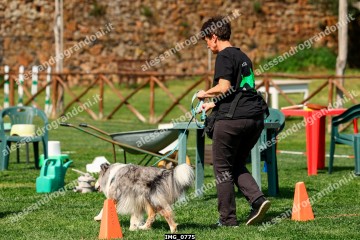 IMG_0775.jpg