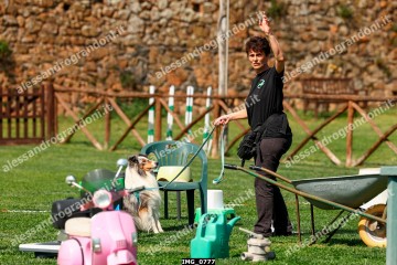 IMG_0777.jpg