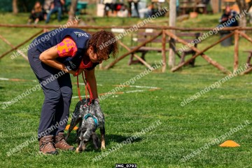 IMG_0793.jpg