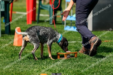 IMG_0801.jpg