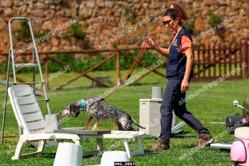 IMG_0807.jpg