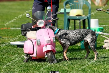 IMG_0816.jpg
