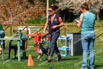 IMG_0828.jpg