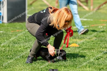 IMG_0835.jpg