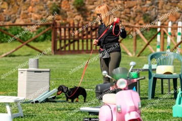 IMG_0846.jpg