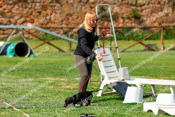 IMG_0848.jpg