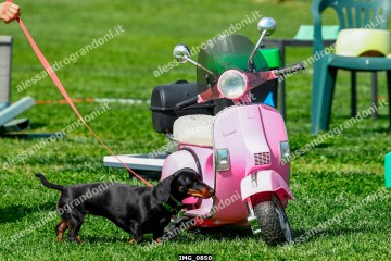 IMG_0850.jpg