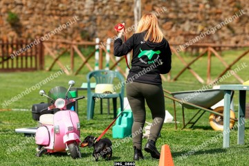 IMG_0860.jpg