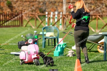 IMG_0862.jpg
