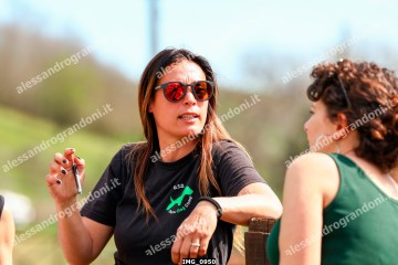 IMG_0950.jpg