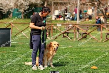 IMG_0961.jpg